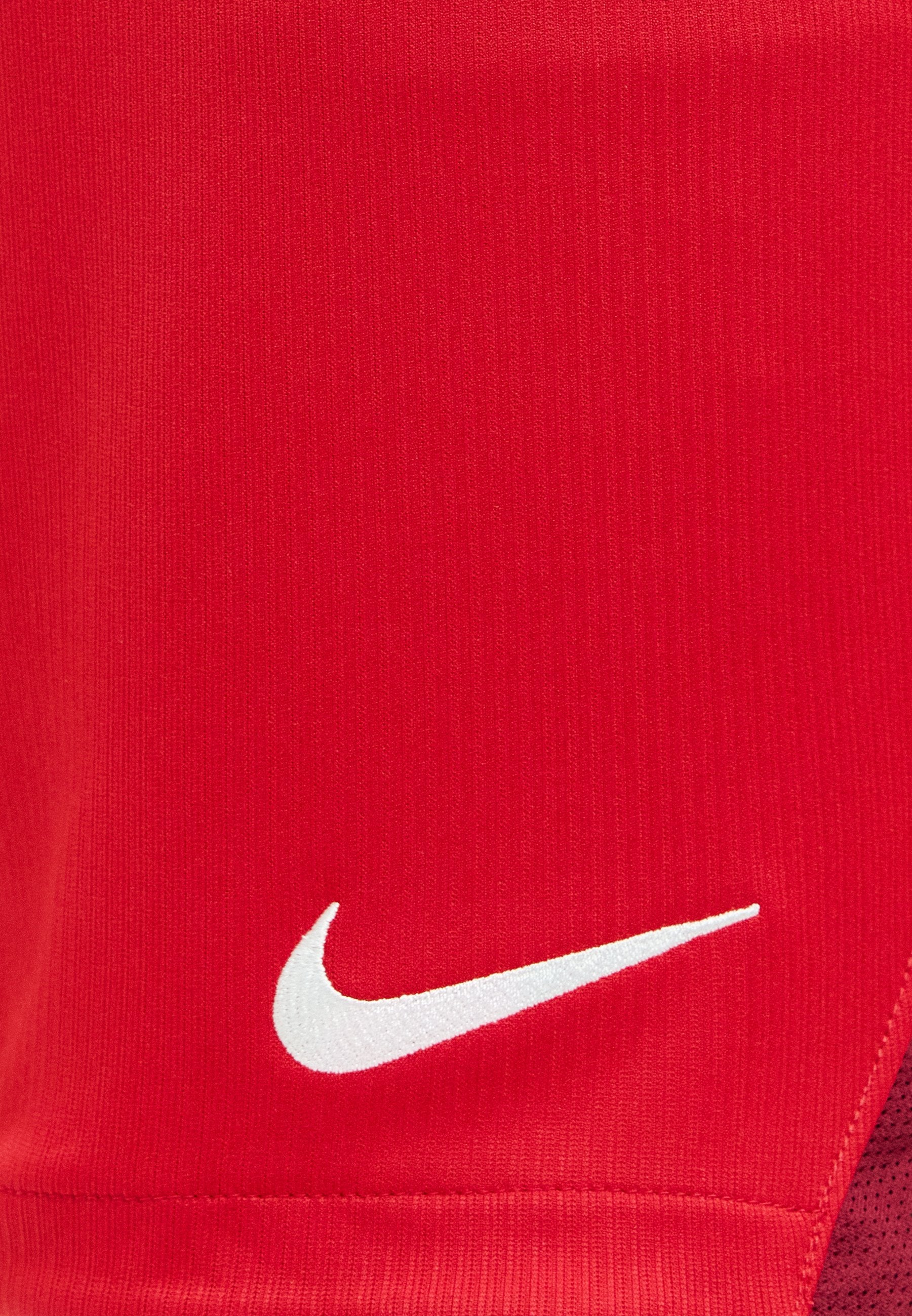 Nike Performance TURKEY MENS SHORT