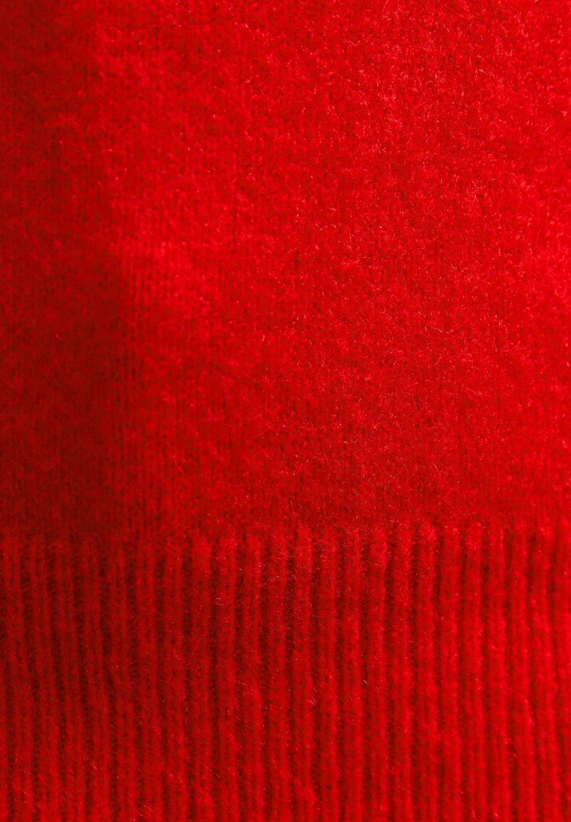 New Look ROLL NECK