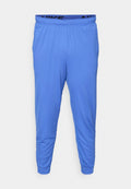 Herren Sporthose in Blau aus leichtem Stoff, mit einem elastischen Bund und einem schwarzen Logo, sowie tapered Bündchen an den Knöcheln.