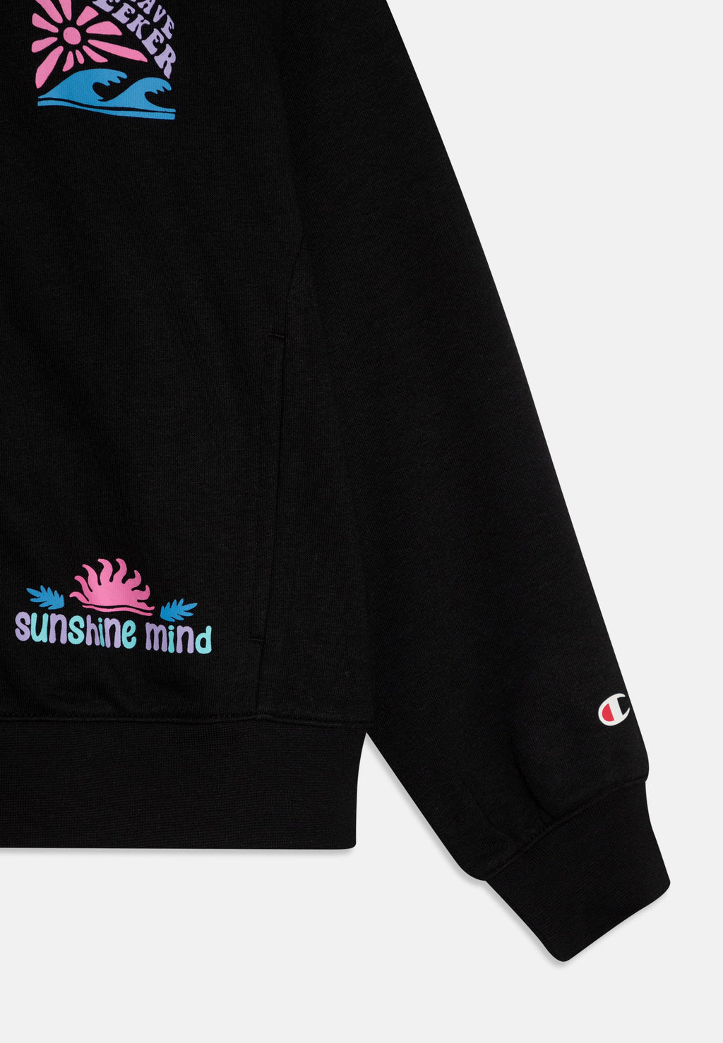 Champion GRAPHIC FULL ZIP