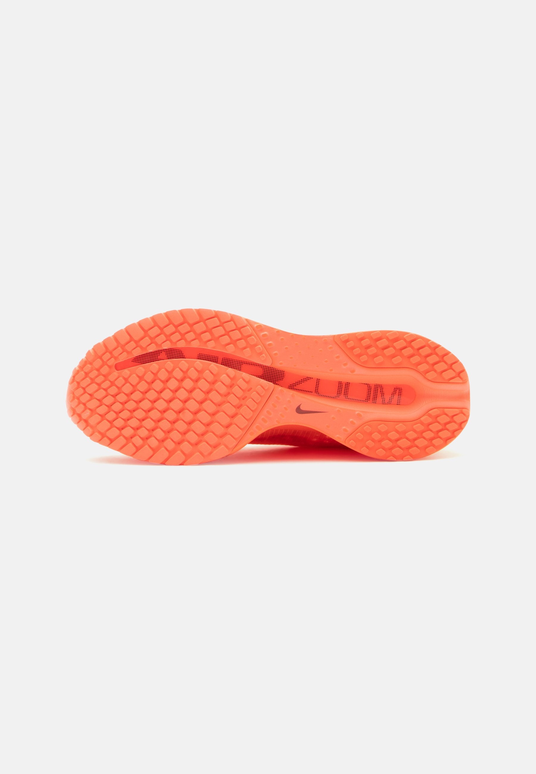 Nike Performance PEGASUS PREMIUM