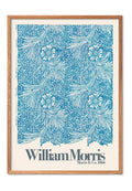 Poster and Frame