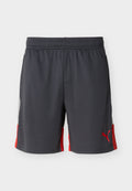Puma INDIVIDUALLIGA TRAINING SHORTS
