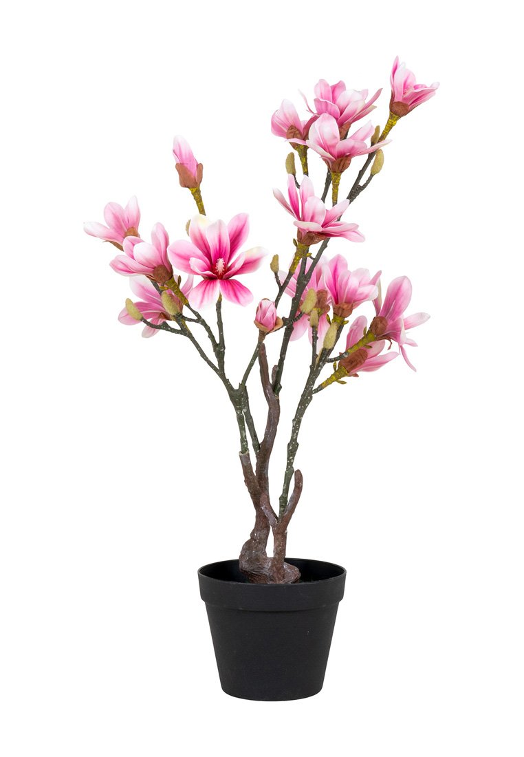 House Nordic