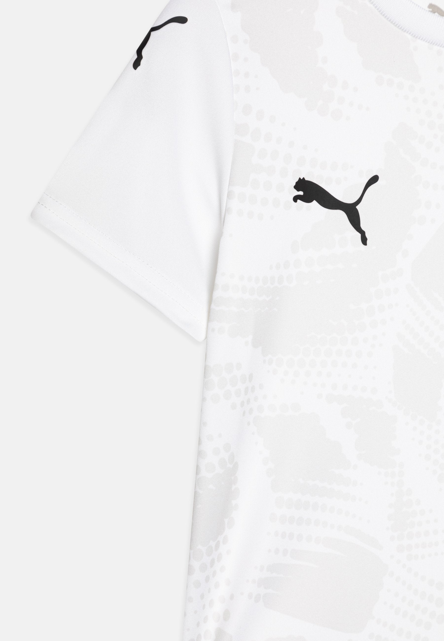 Puma TEAMULTIMATE