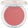 Blush Soft Touch Bouncy 10 Antique Bloom essence