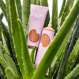 Foundation Skin Tint Hydrating Natural Finish LSF 30, 100 essence