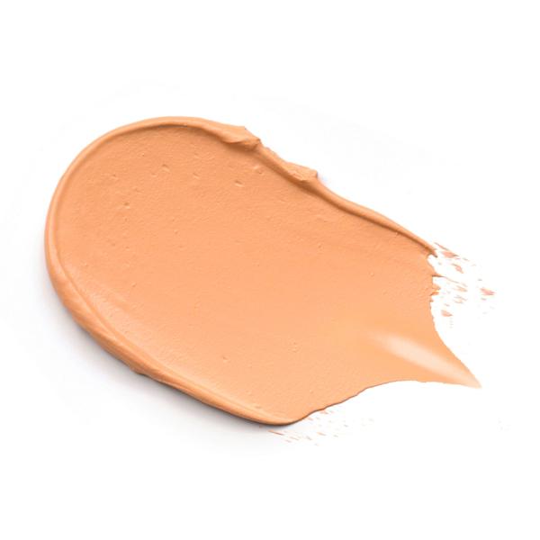 Foundation Stick 100 essence