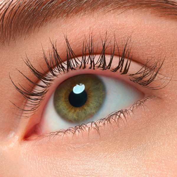 Mascara Lash Princess False Lash Effect Black Brown essence
