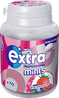 Pastillen, Professional Mints, Waldfrucht, zuckerfrei EXTRA