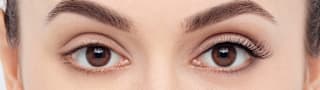 Künstliche Wimpern 3/4 Length 007 Light & Wispy (1 Paar) Eylure