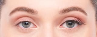 Künstliche Wimpern 3/4 Length 009 Light & Wispy (1 Paar) Eylure