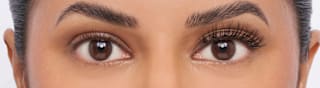 Künstliche Wimpern Full & Wispy 184 (1 Paar) Eylure