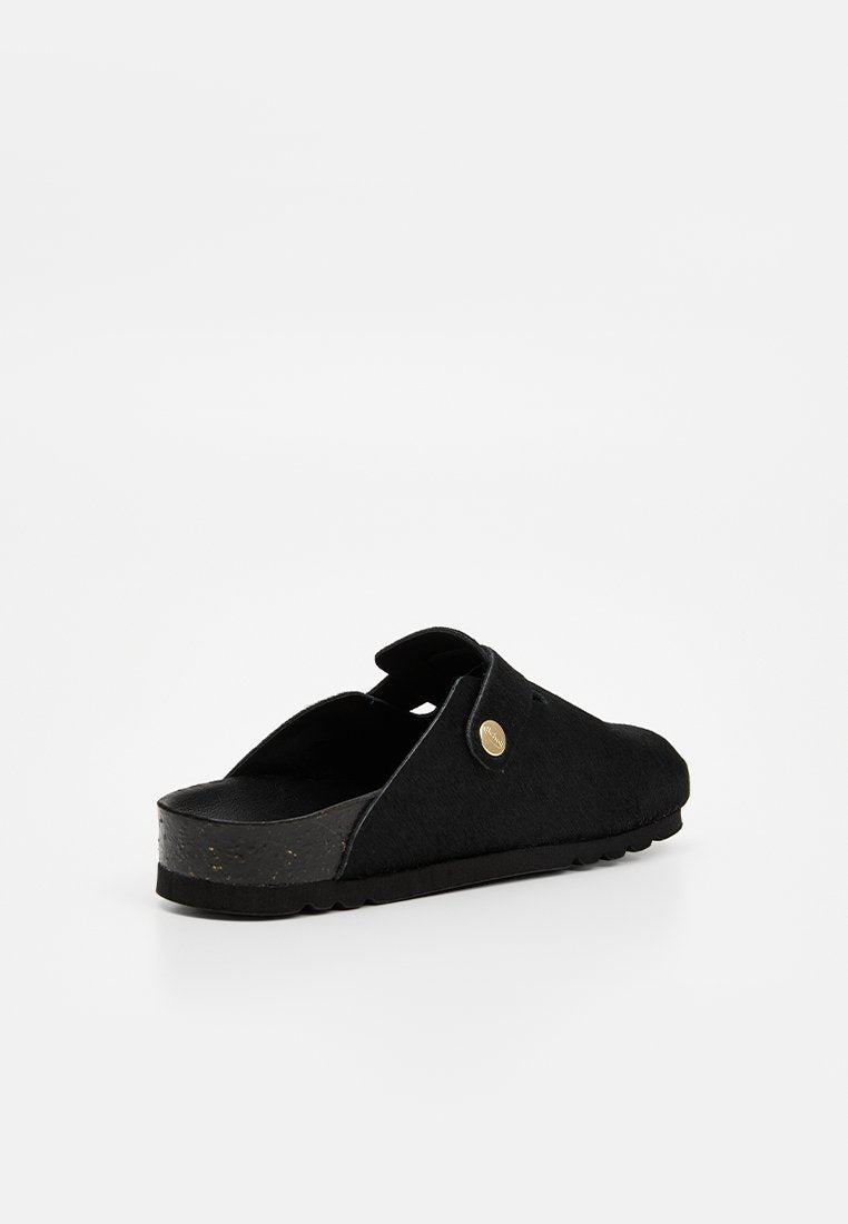 Scholl FAE