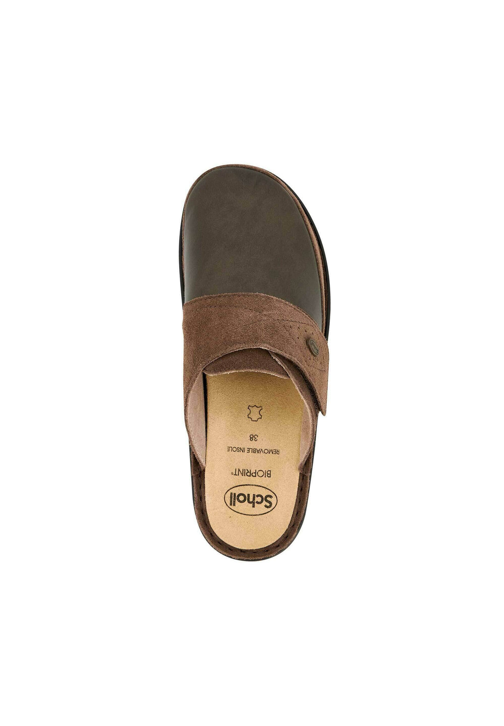 Scholl ROBERTA