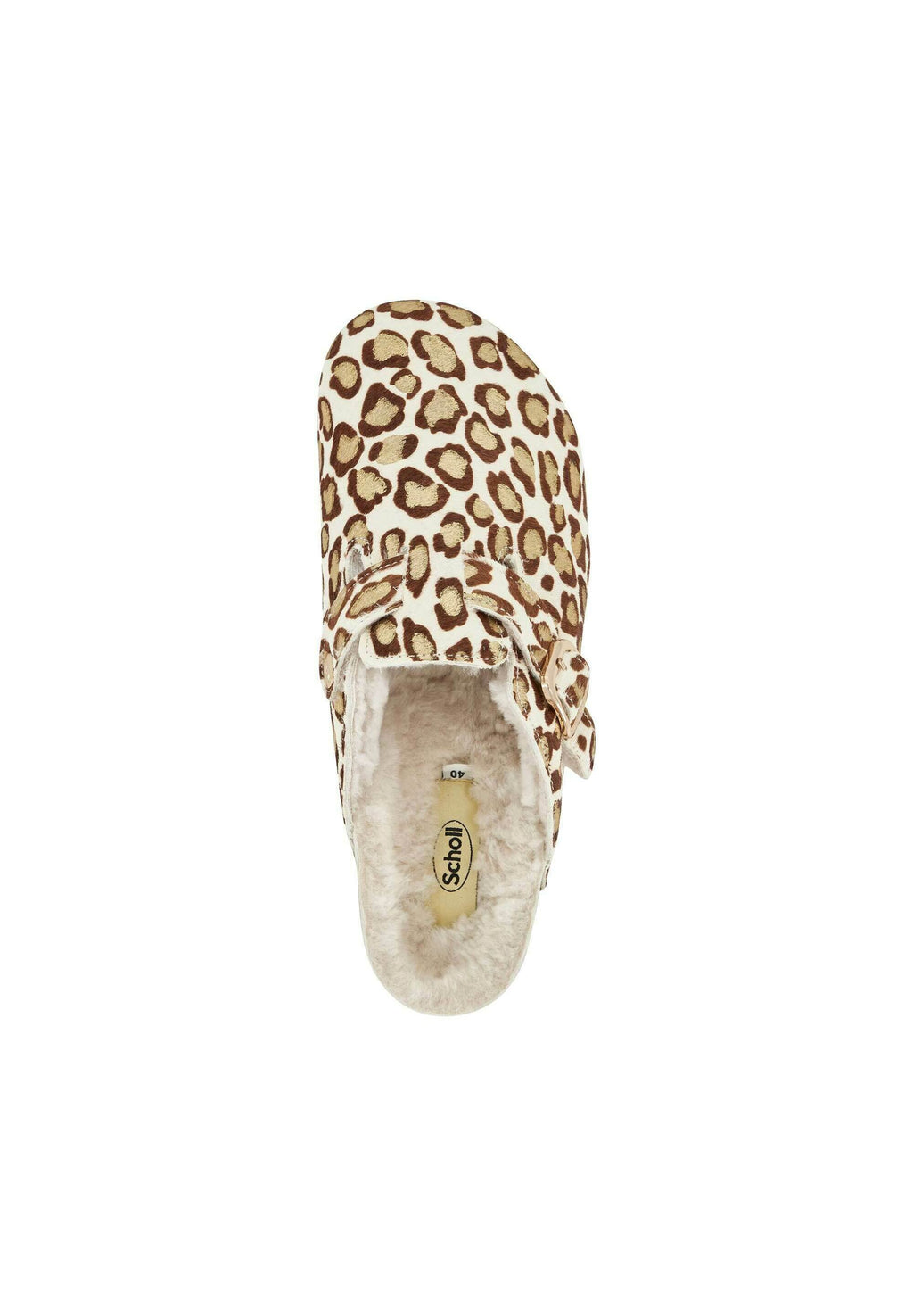 Scholl FAE NEW