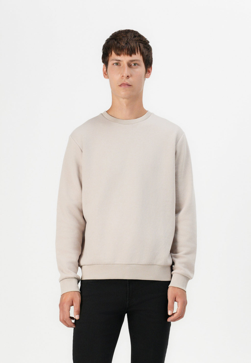 Jack & Jones JJEBRADLEY SWEAT CREW NOOS