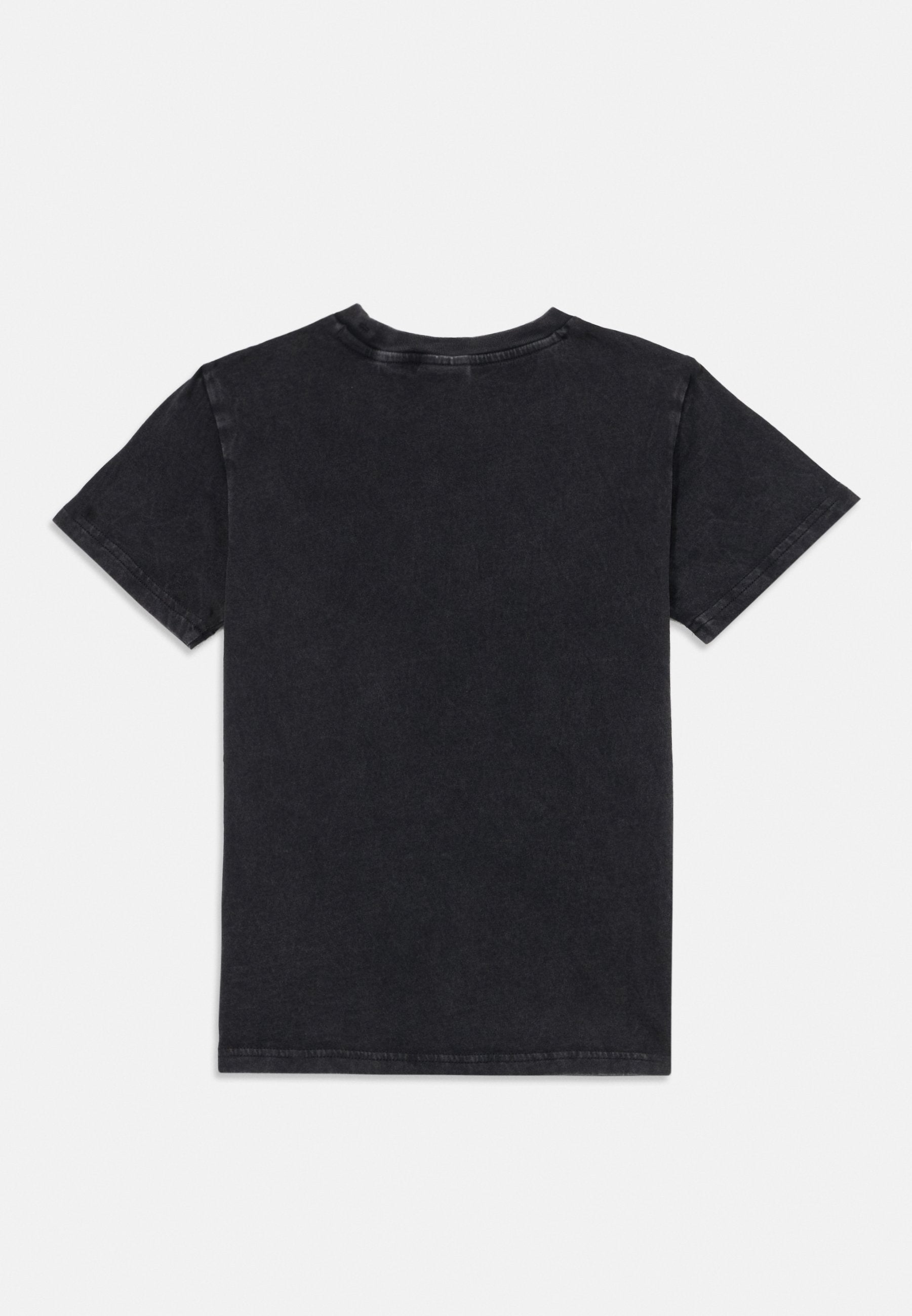 Champion ICONS CREW NECK UNISEX