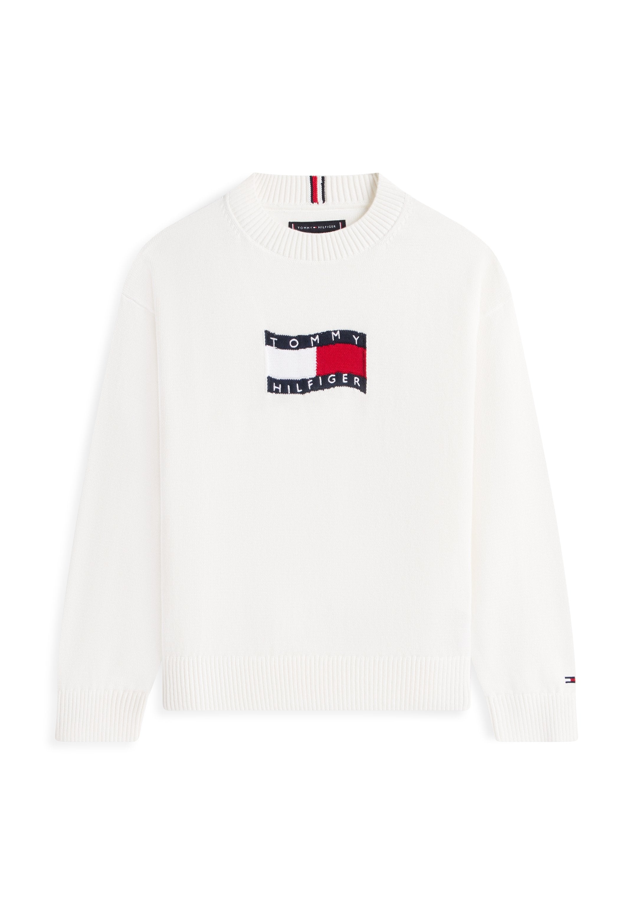 INTARSIA WAVY FLAG CREW NECK JUMPER Media 1