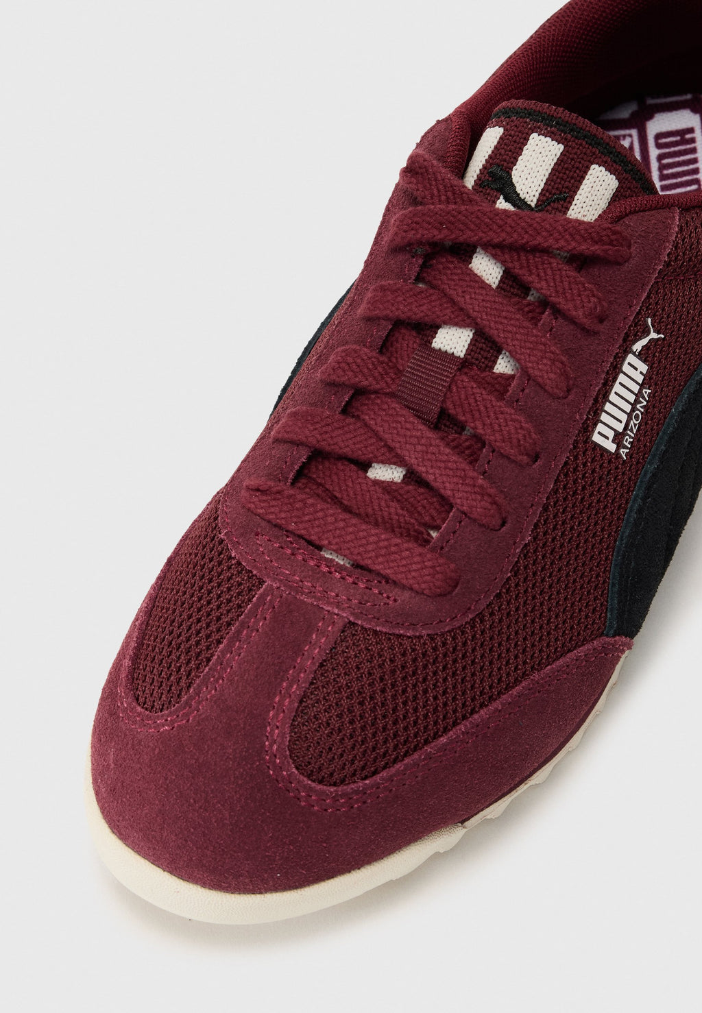 Puma ARIZONA