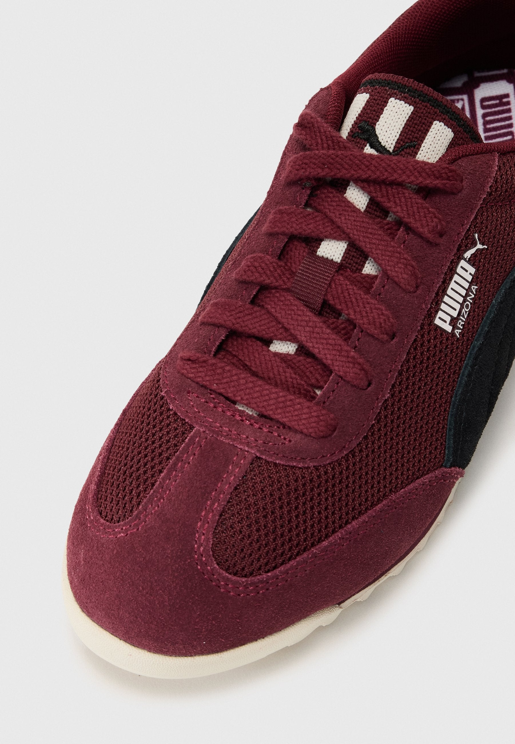 Puma ARIZONA