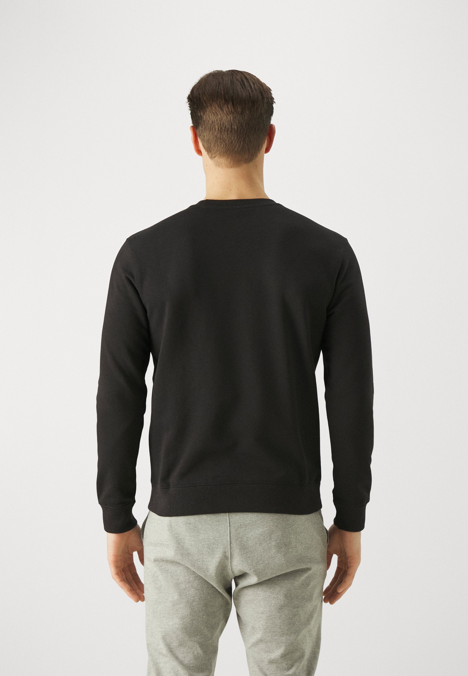 Champion ICONS CREWNECK SMALL LOGO