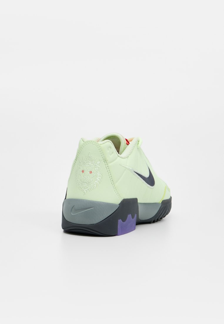 Nike Performance LEBRON WITNESS IX
