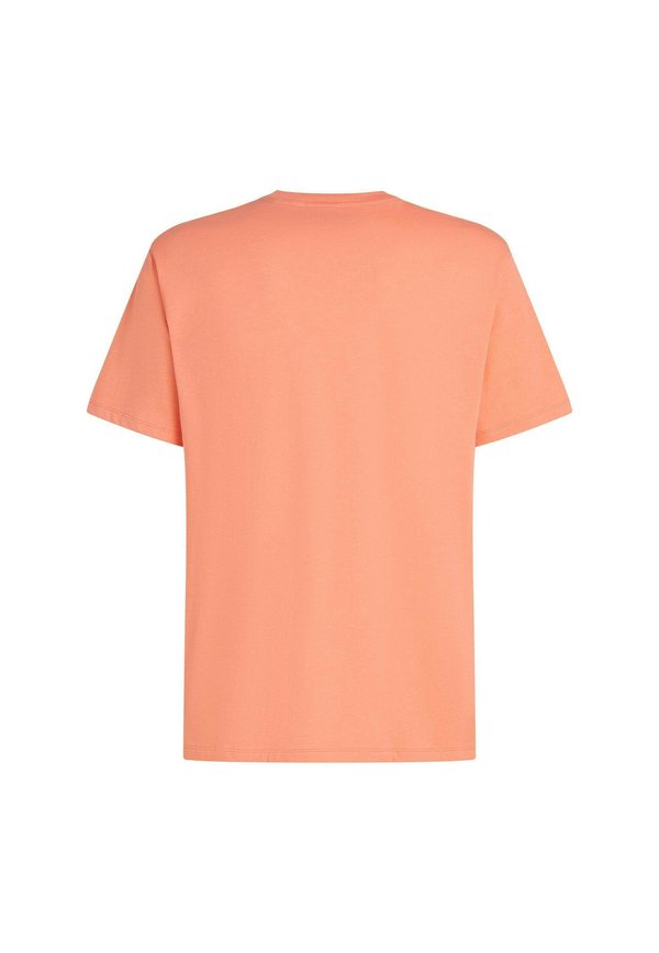 O'Neill CHEST PRINT - TEES SHORTSLEEVE