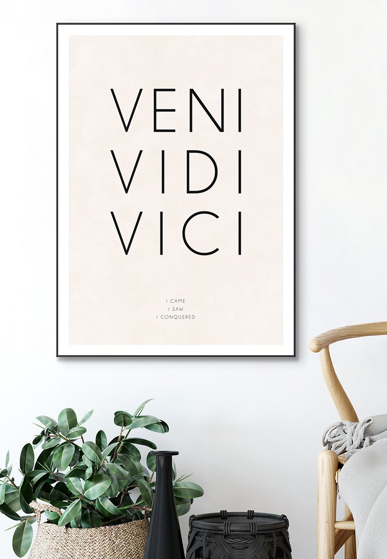 Orange Wallz VENI VIDI VICI