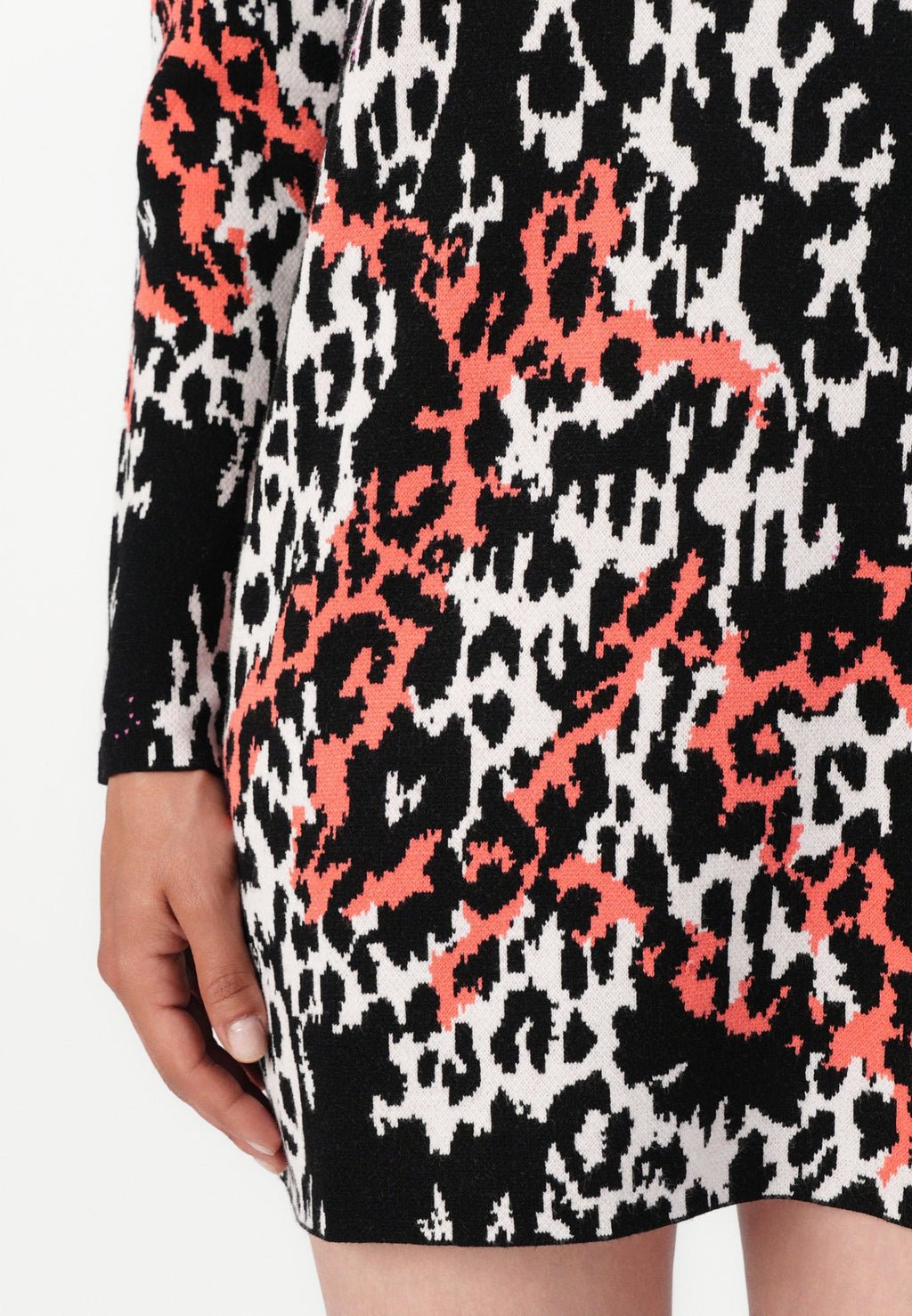 Just Cavalli