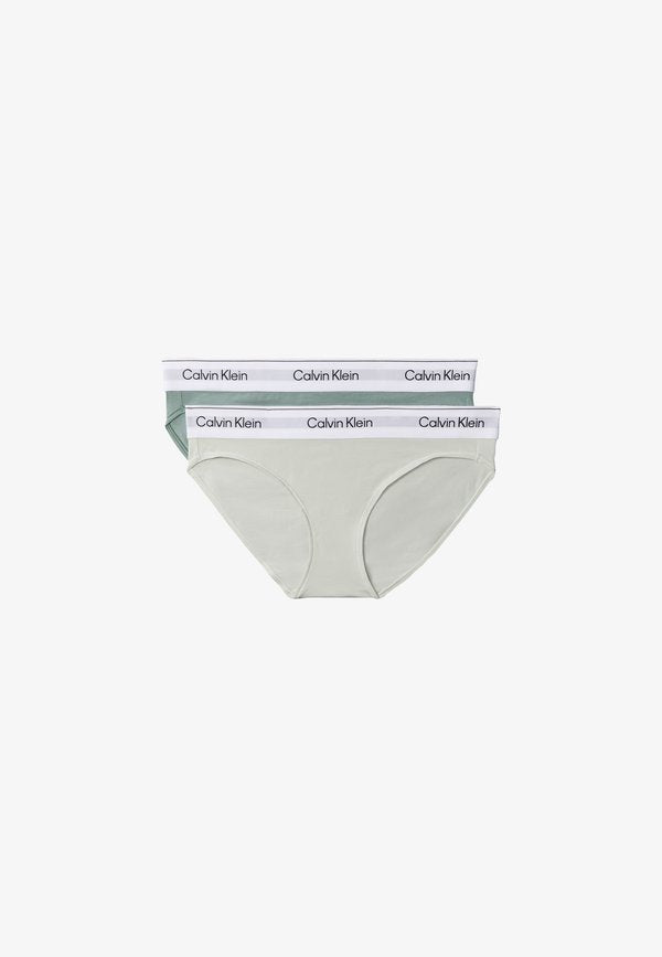 Calvin Klein Underwear ICON 2 PACK - Briefs - chinois green/light stone green