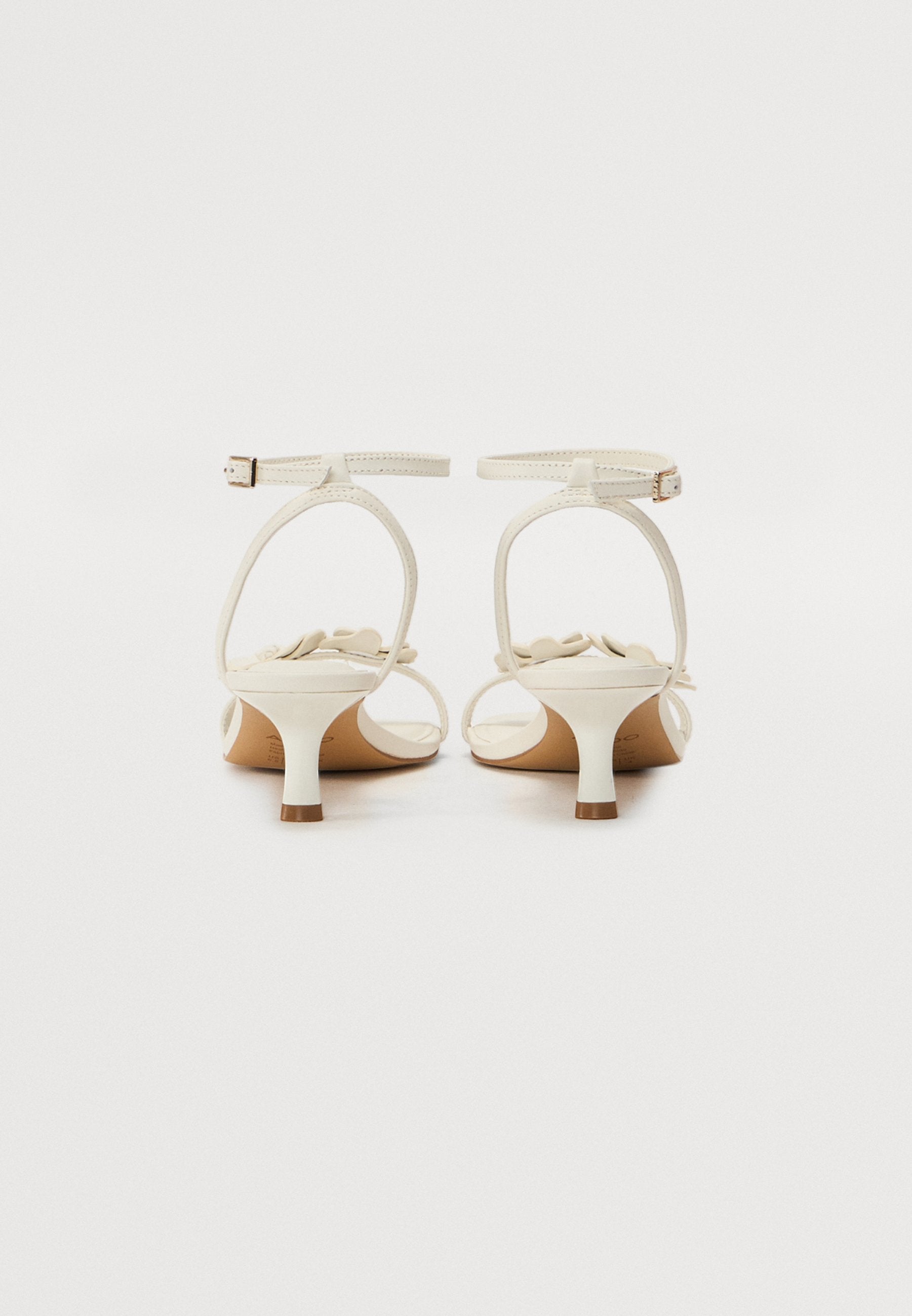 ALDO DAISYROSE