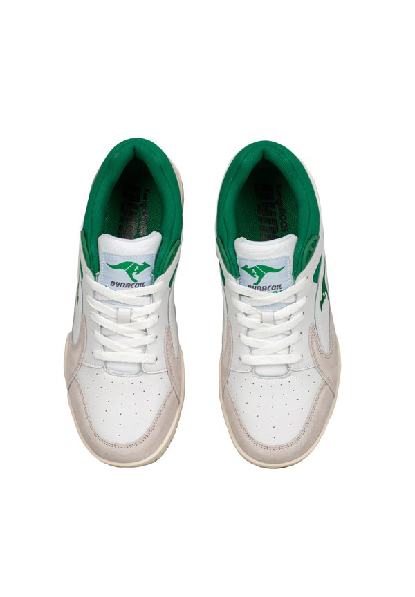 KangaROOS 3 POINTER