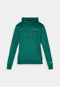 Champion SPORTSWEAR HOODIE STANDARD FIT