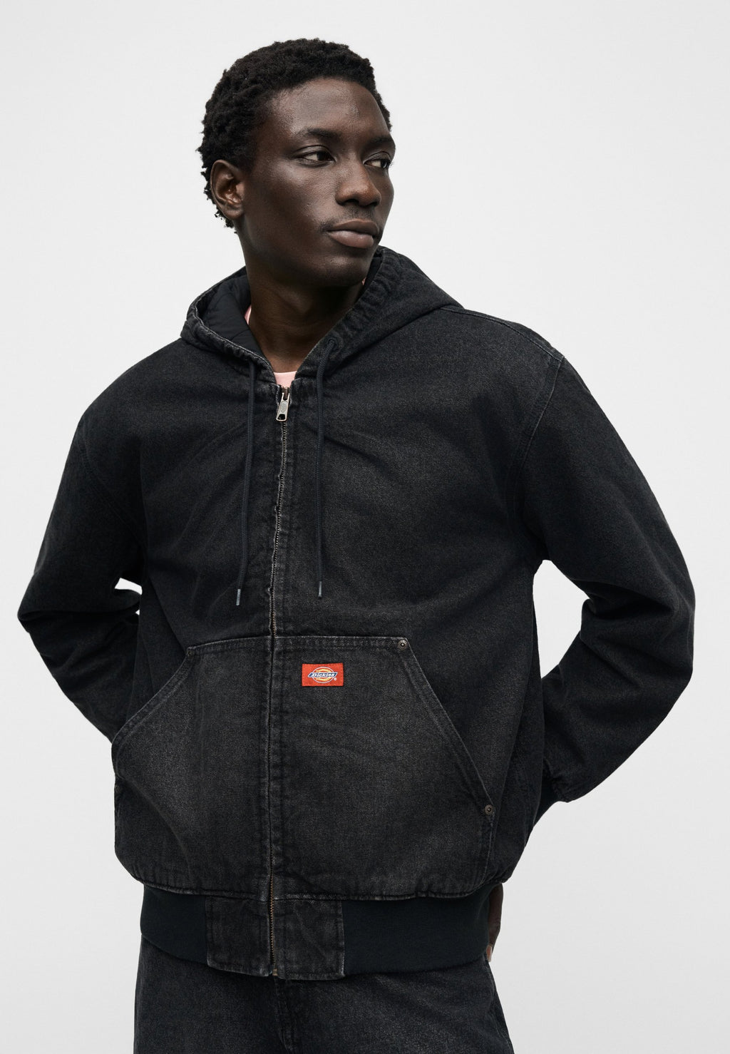 Dickies HILHAM LINED HOODED