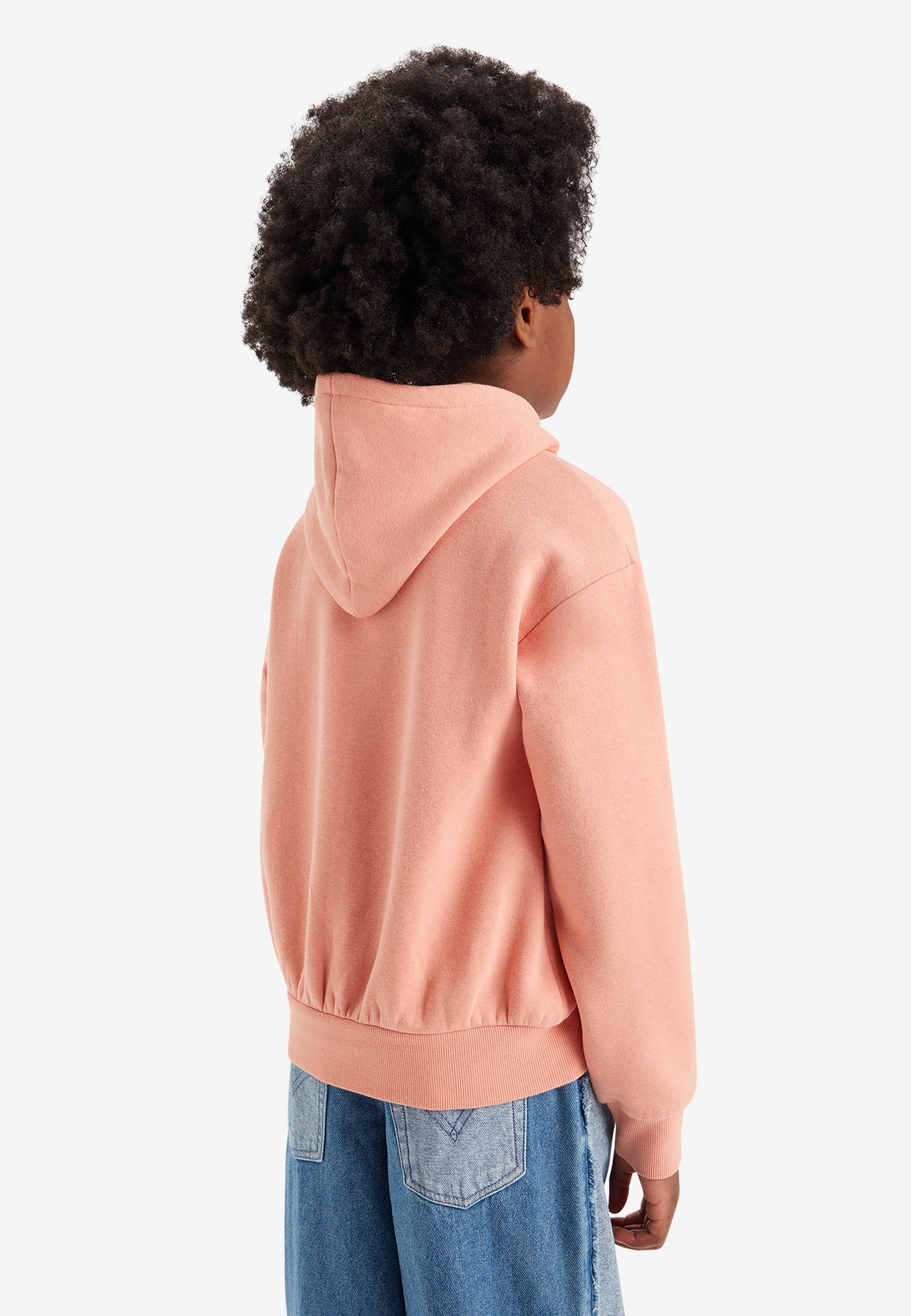 Levi's® POSTER LOGO HOODIE