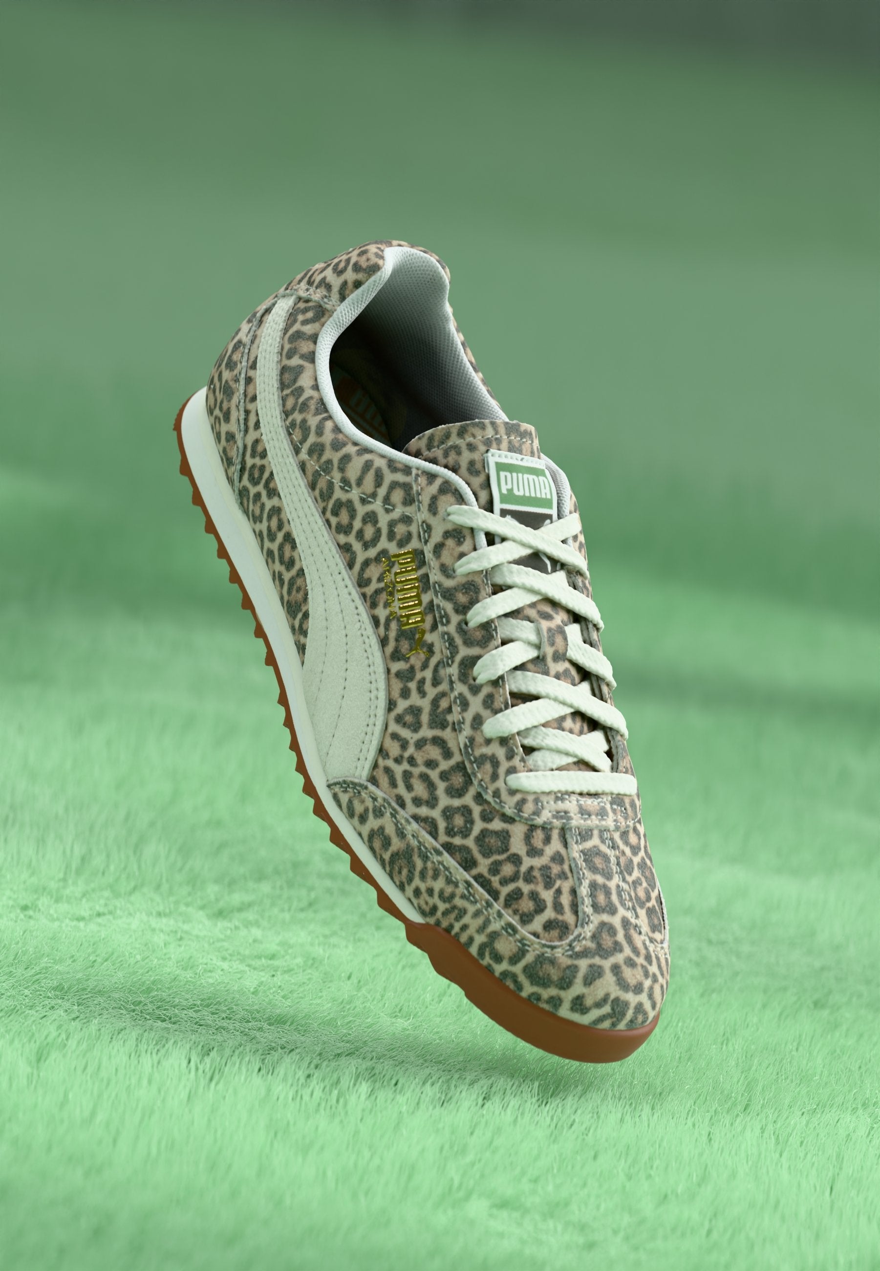Puma ARIZONA LEO