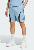 adidas Originals TEAMGEIST ADICOLOR