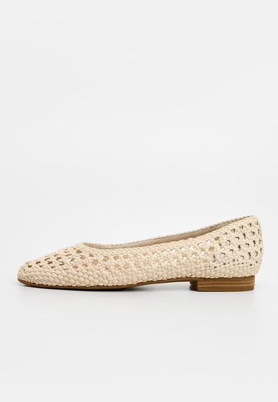 TOMS BRIELLA