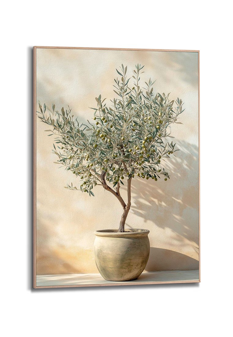 Orange Wallz OLIVE SUMMER