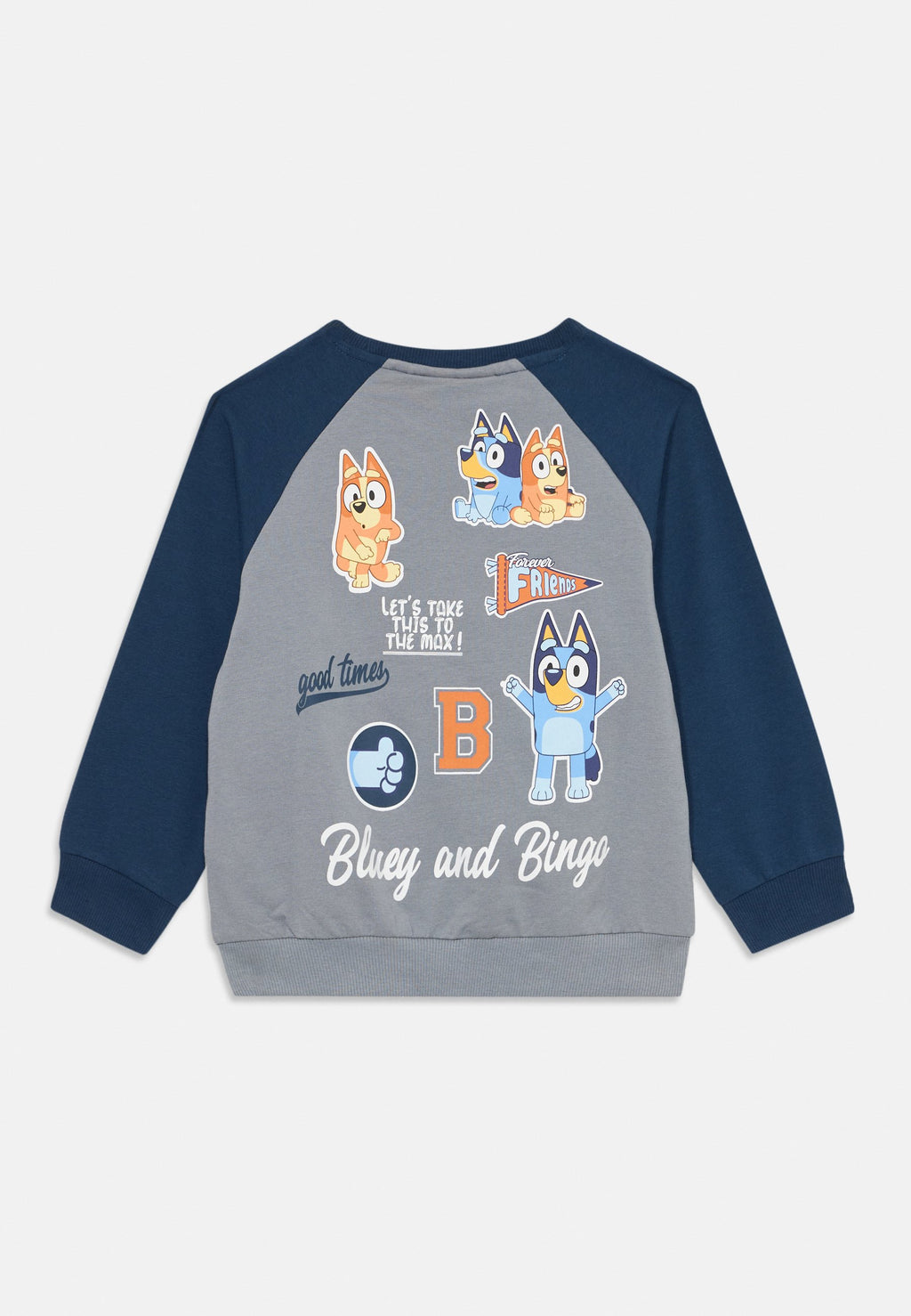 Name it Sweat Bluey