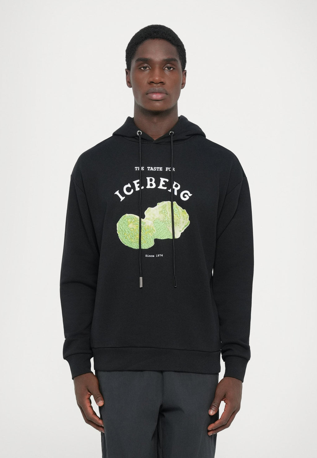 Iceberg