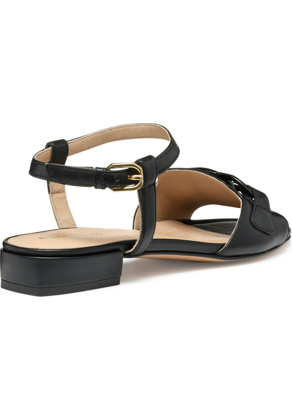 Geox NEW ERAKLIA 15