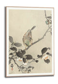 Orange Wallz OHARA KOSON - BUNTING