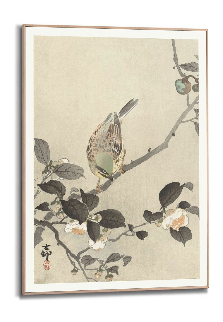 Orange Wallz OHARA KOSON - BUNTING