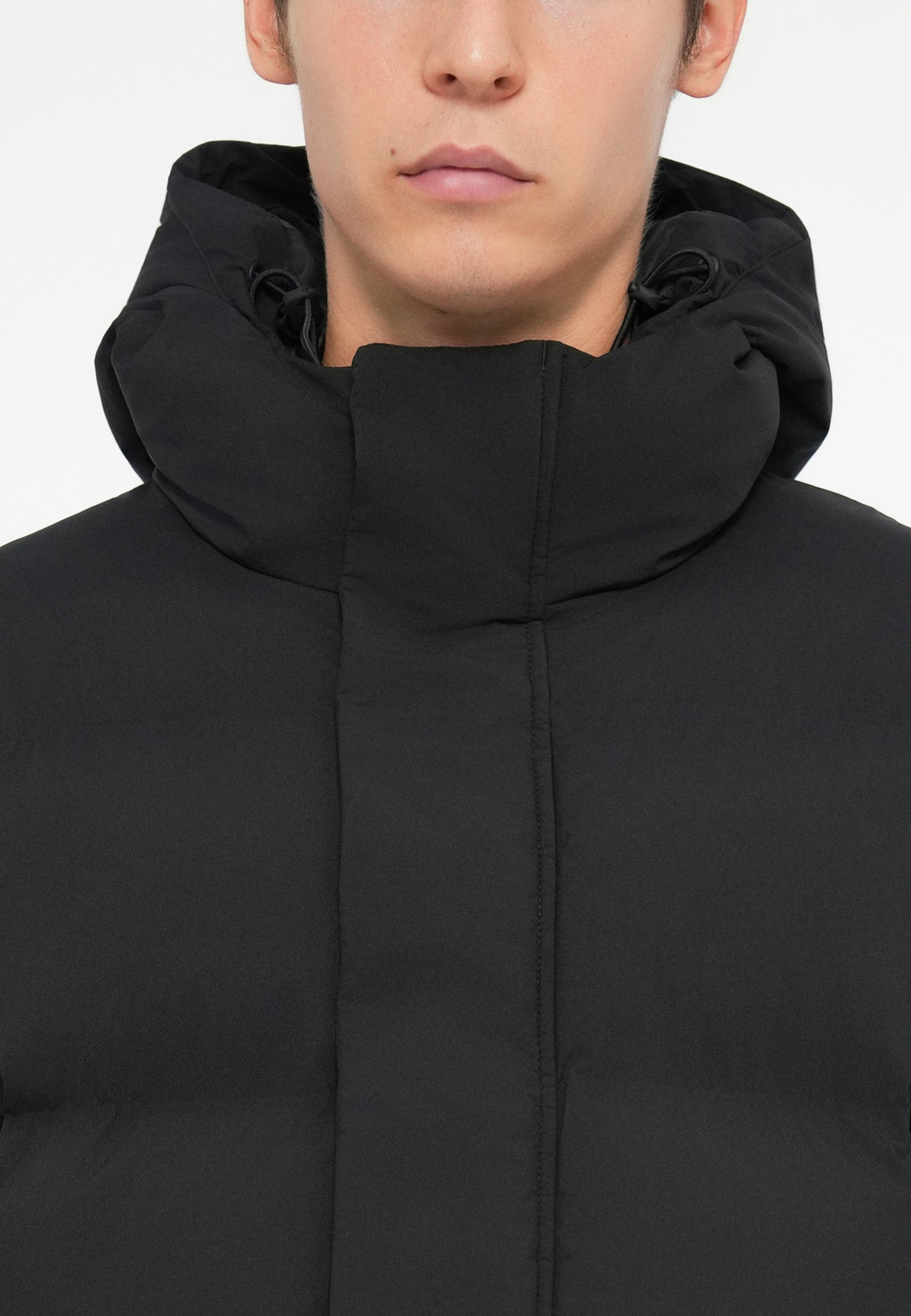 Dickies EAGLEVILLE HOODED PUFFER
