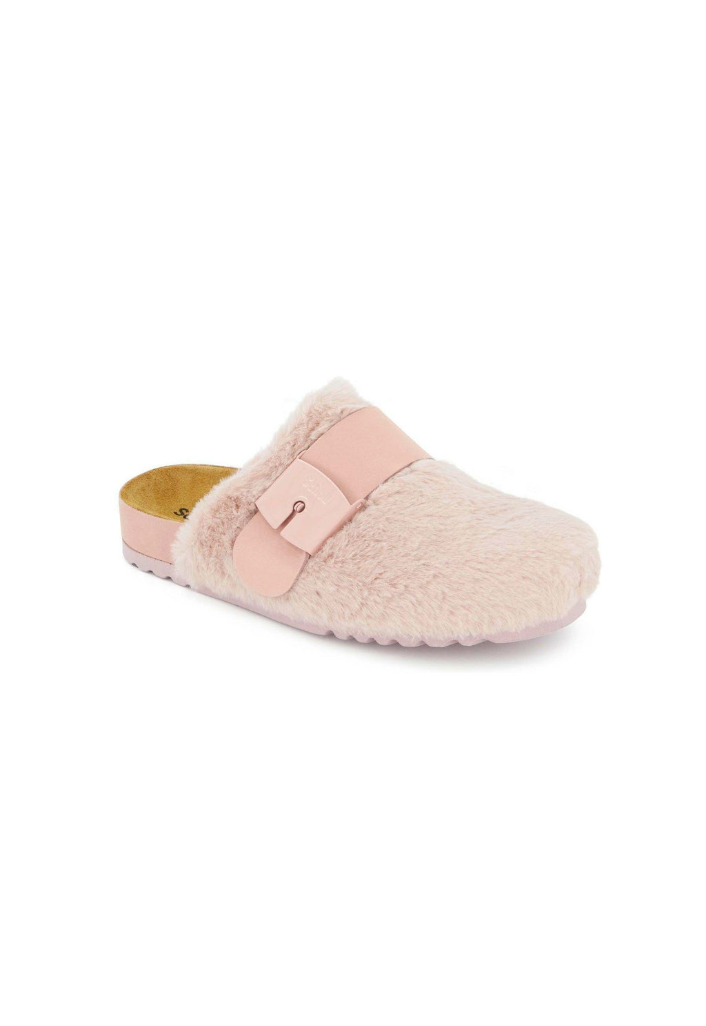 Scholl ALASKA