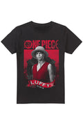 ONE PIECE LUFFY ETCHED PORTRAIT Media 1