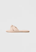 Call it Spring APRICOT