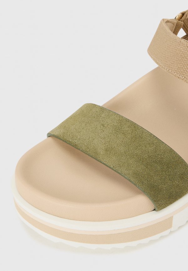 Pollini